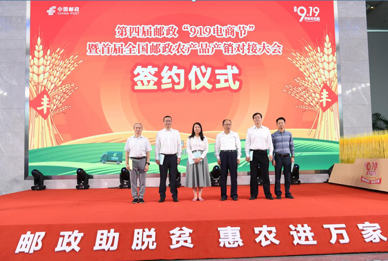 d2ba42f3e2d19406dc8c6430da801076.png
