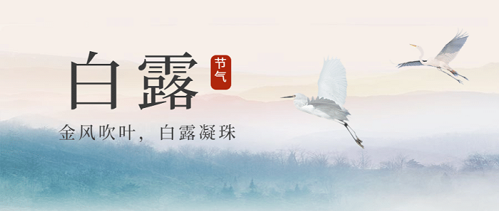 白露.png