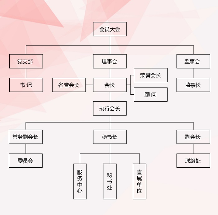 组织架构图（背景）2023-0--1.jpg