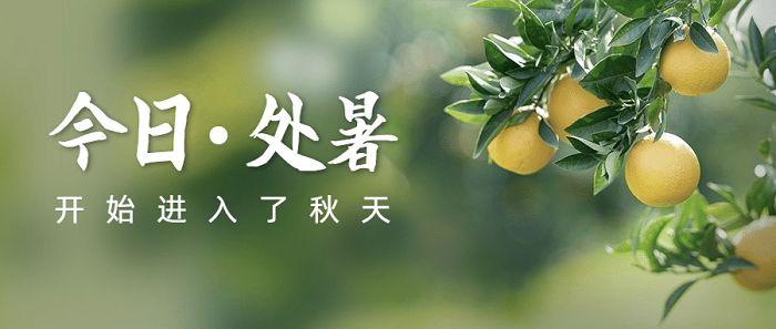 处暑.png