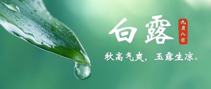 白露九月八日.jpg 白露九月八日.jpg