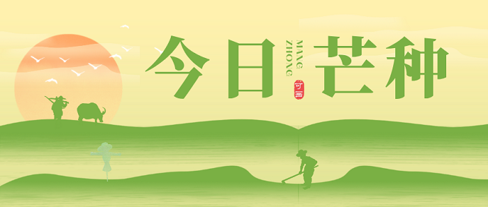 黄绿色中式芒种节气新媒体微信公众号封面__20250605_093814_0000.png